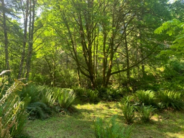 23180 Porlier Pass Road, Galiano Island, BC, Galiano Island — Manufactured On Land for sale