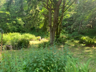 Garden / Landscaping Photo of 23180 Porlier Pass Road, Galiano Island, BC