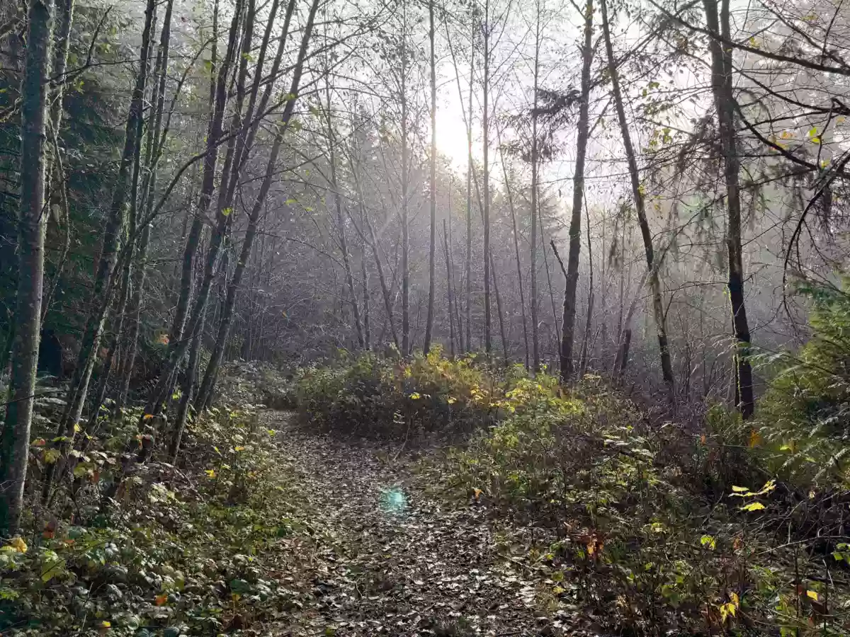 Bedroom 3 Photo of 1594 Cemetery Road, Gibsons, BC