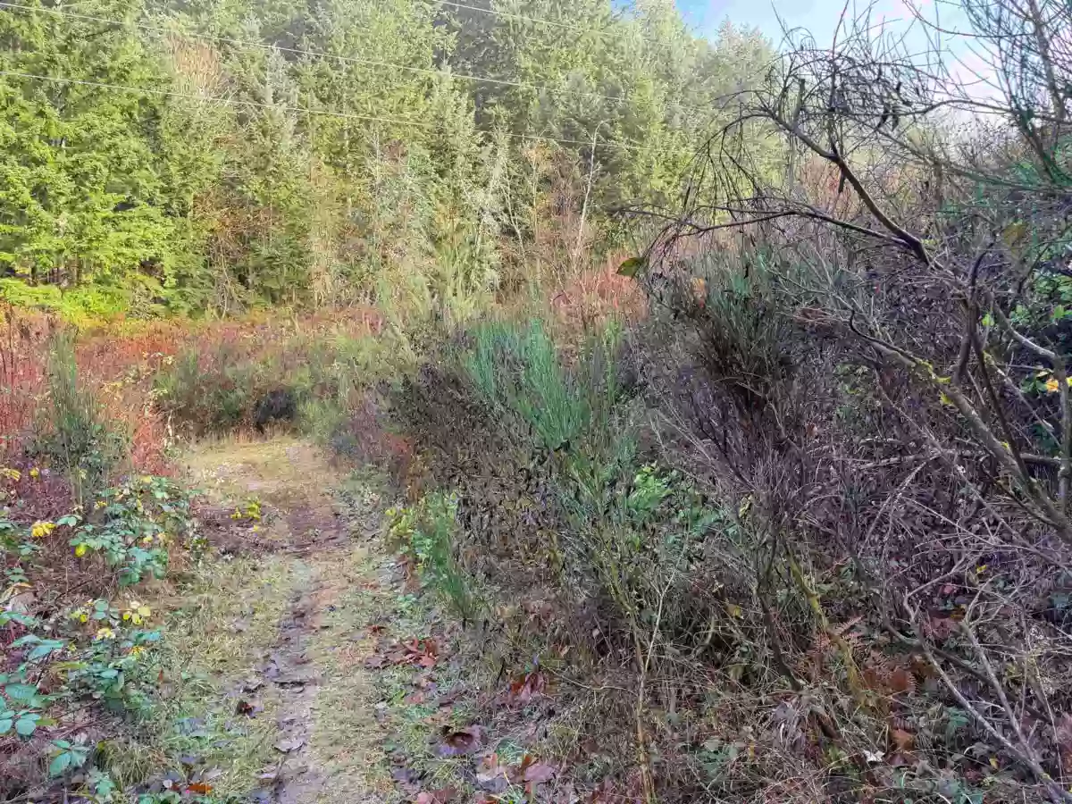 Bedroom 4 Photo of 1594 Cemetery Road, Gibsons, BC