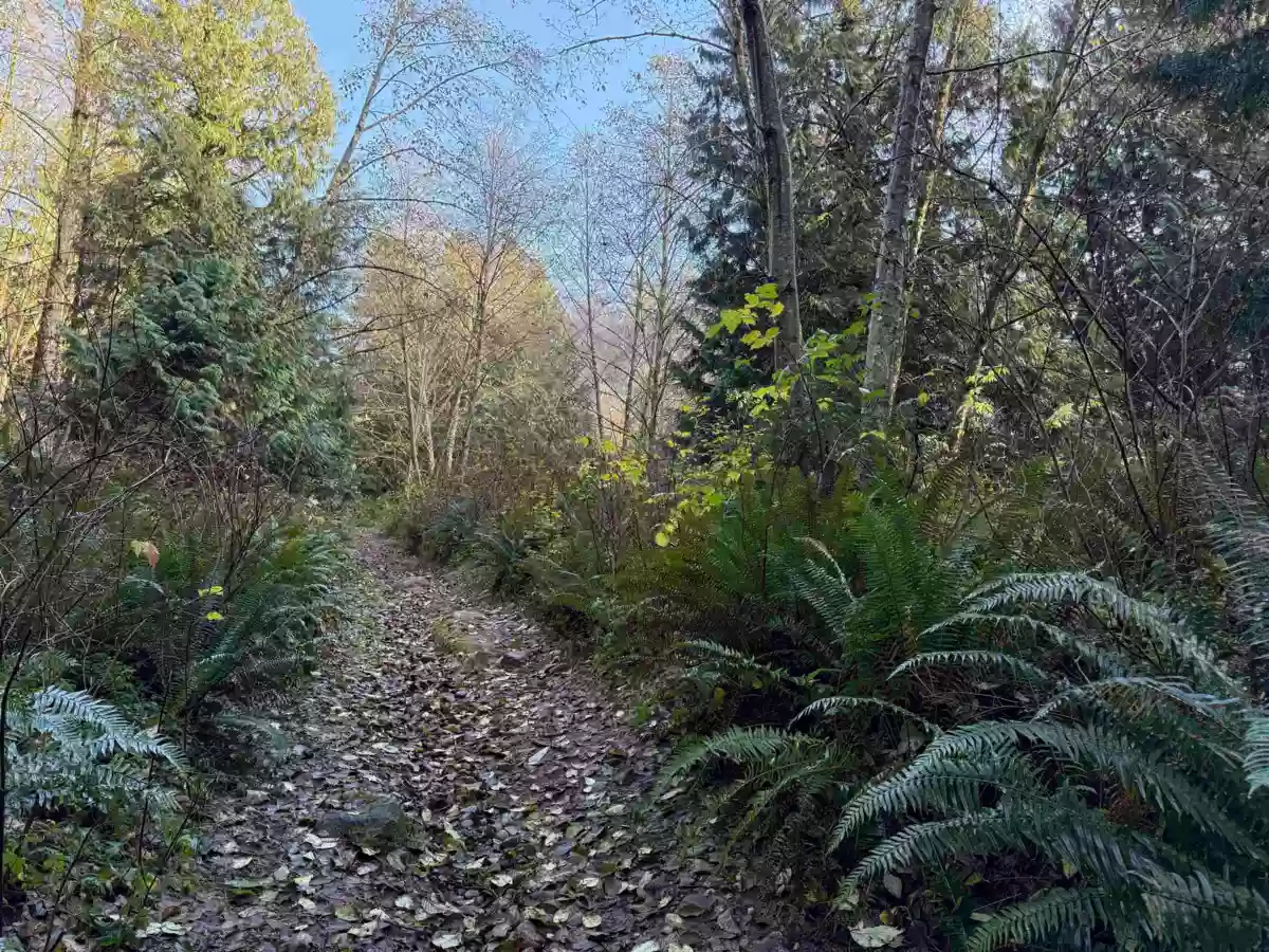 Breakfast Nook Photo of 1594 Cemetery Road, Gibsons, BC