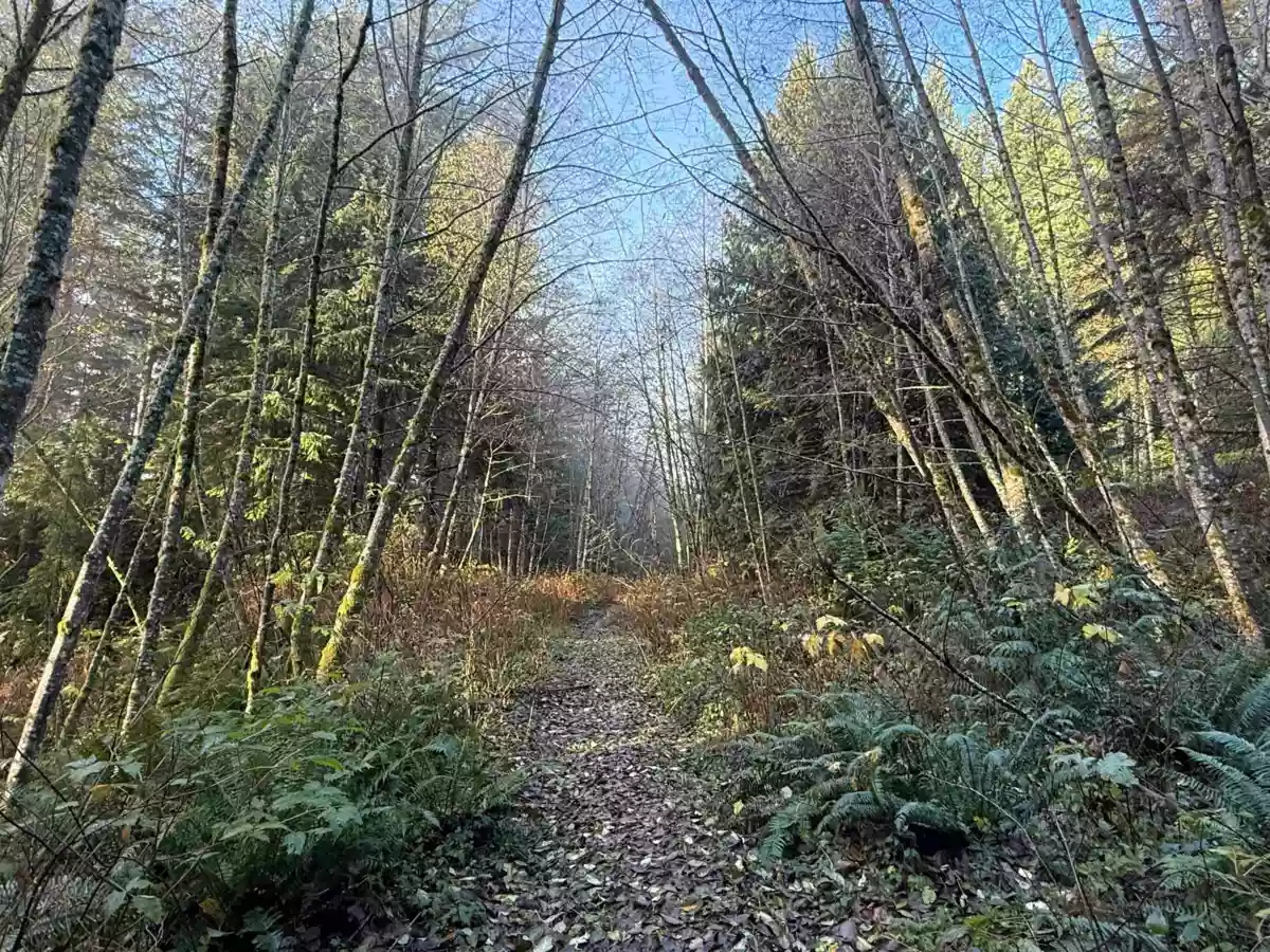 Family Room Photo of 1594 Cemetery Road, Gibsons, BC