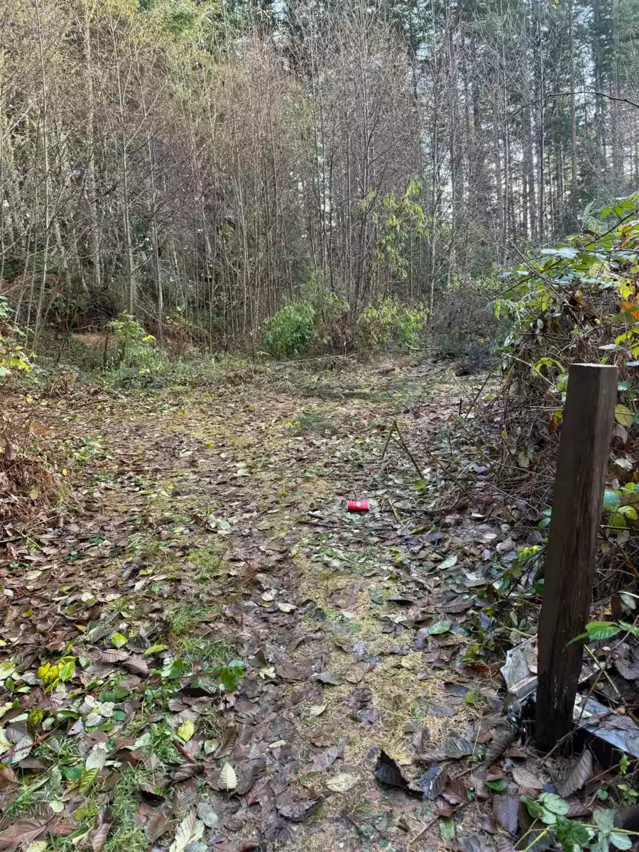Primary Bathroom Photo of 1594 Cemetery Road, Gibsons, BC