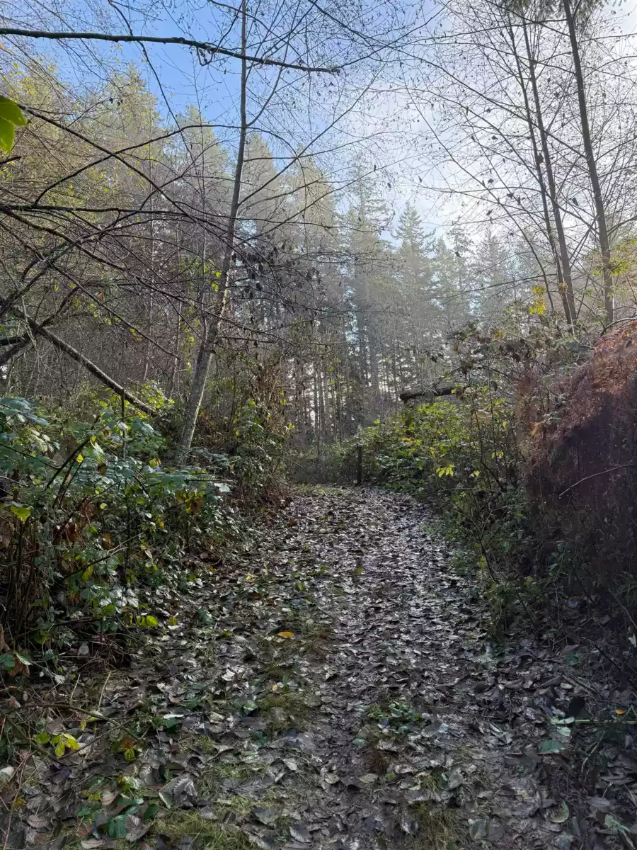 Primary Bedroom Photo of 1594 Cemetery Road, Gibsons, BC
