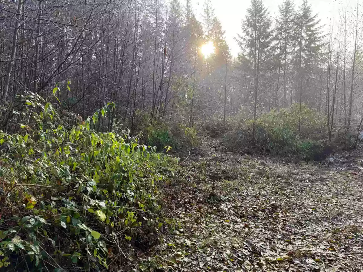 Walk-In Closet Photo of 1594 Cemetery Road, Gibsons, BC