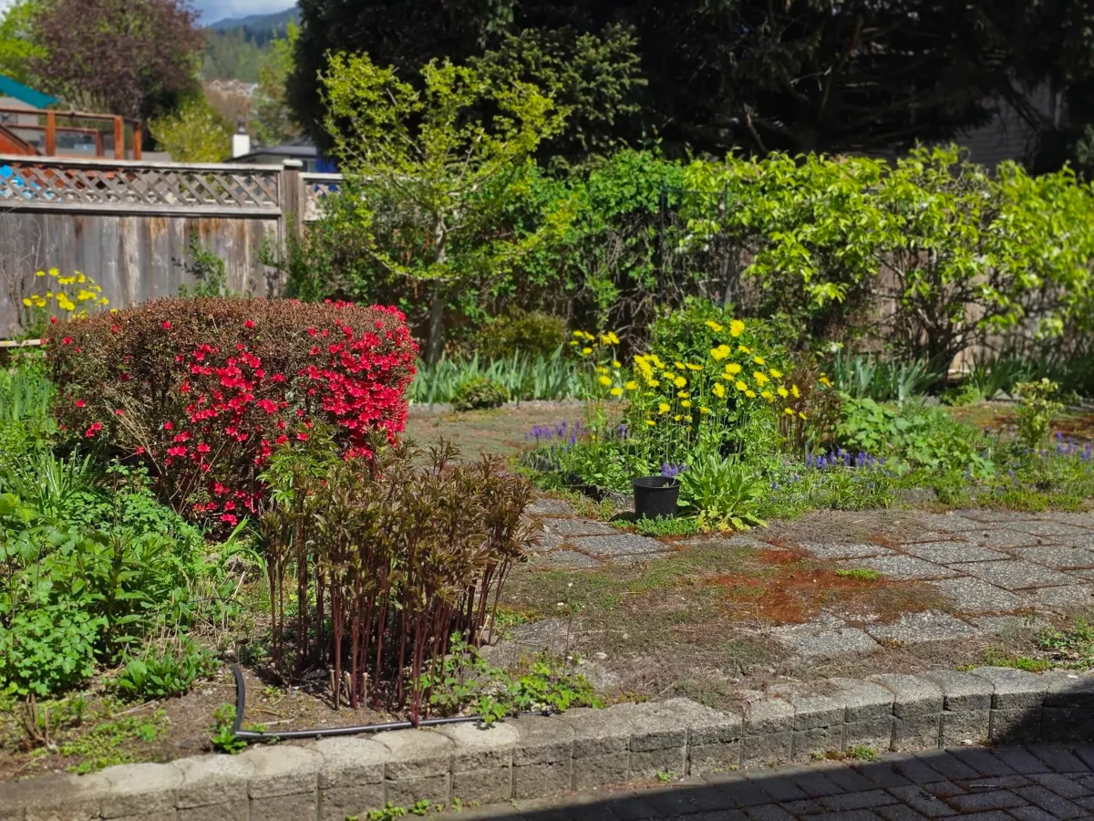 Neighborhood Park Photo Near 1273 Lynwood Avenue, Port Coquitlam, BC