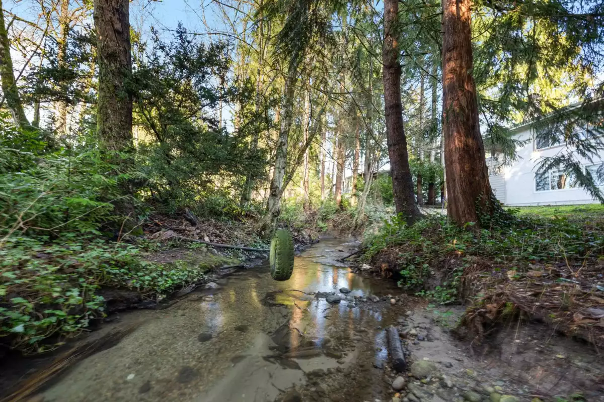 Guest Bathroom Photo of 12037 208 Street, Maple Ridge, BC
