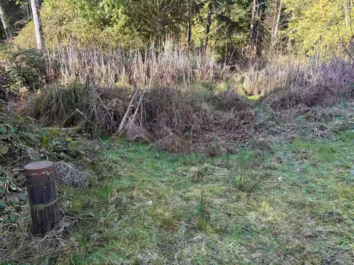 Family Room Photo of LOT 4 Strahan Road, Gambier Island, BC