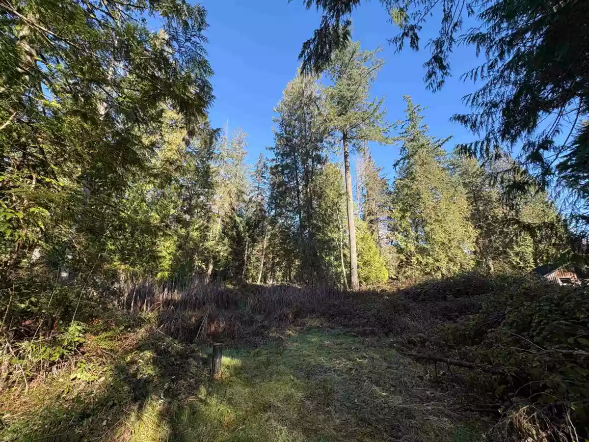 Living Room Photo of LOT 4 Strahan Road, Gambier Island, BC