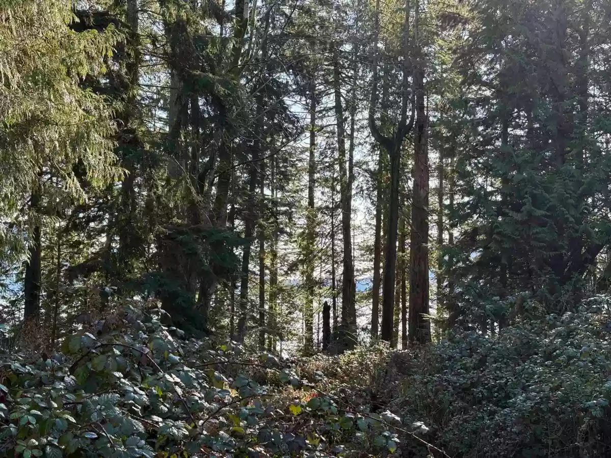 Pantry Photo of LOT 4 Strahan Road, Gambier Island, BC