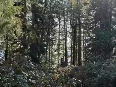 Pantry Photo of LOT 4 Strahan Road, Gambier Island, BC
