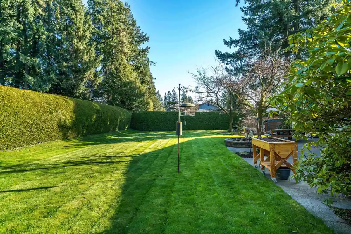 Outdoor Kitchen Photo of 6572 Kempson Crescent, Delta, BC