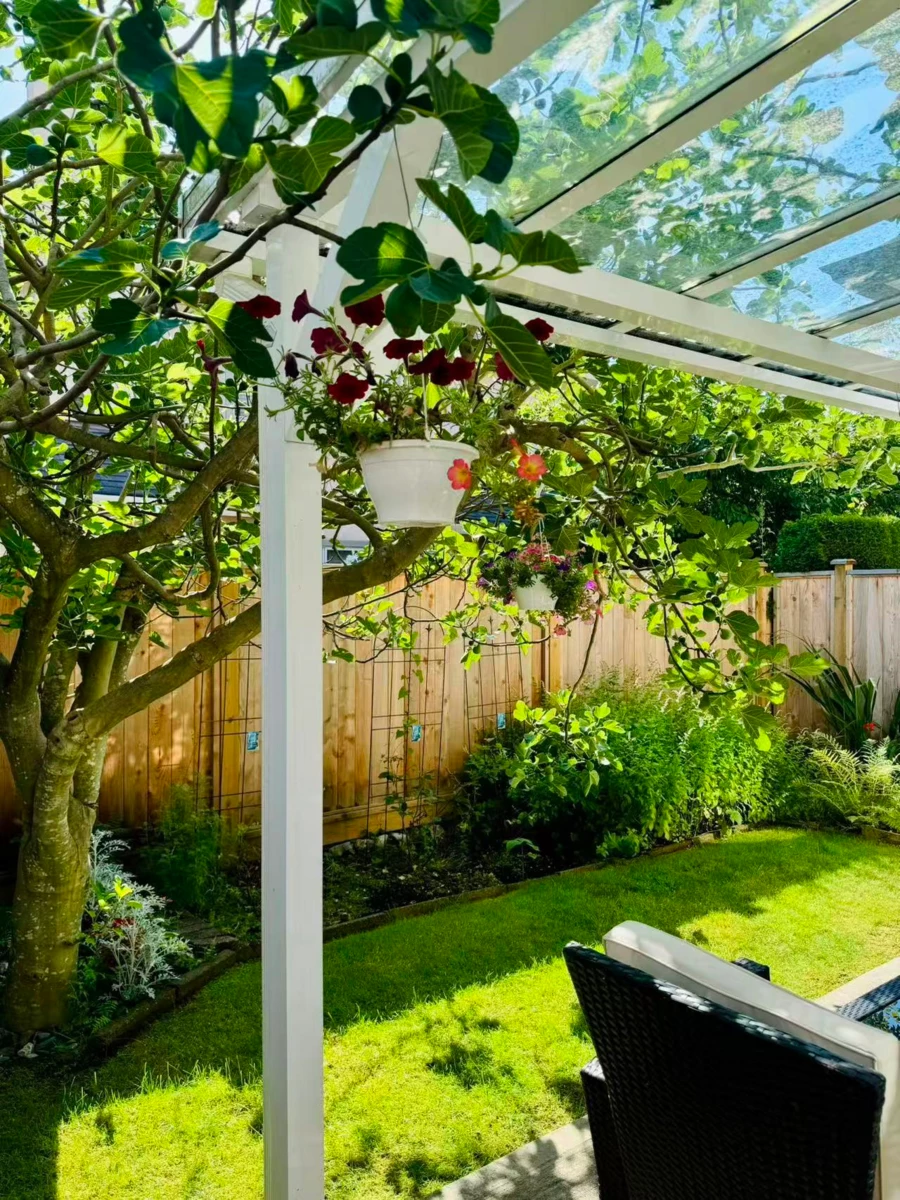 Swimming Pool Photo of 2 8271 Francis Road, Richmond, BC