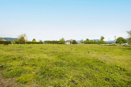 Garden / Landscaping Photo of 42617 Keith Wilson Road, Sardis - Greendale, BC