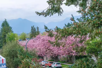 Outdoor Patio Photo of 2 5595 Fleming Street, Vancouver, BC