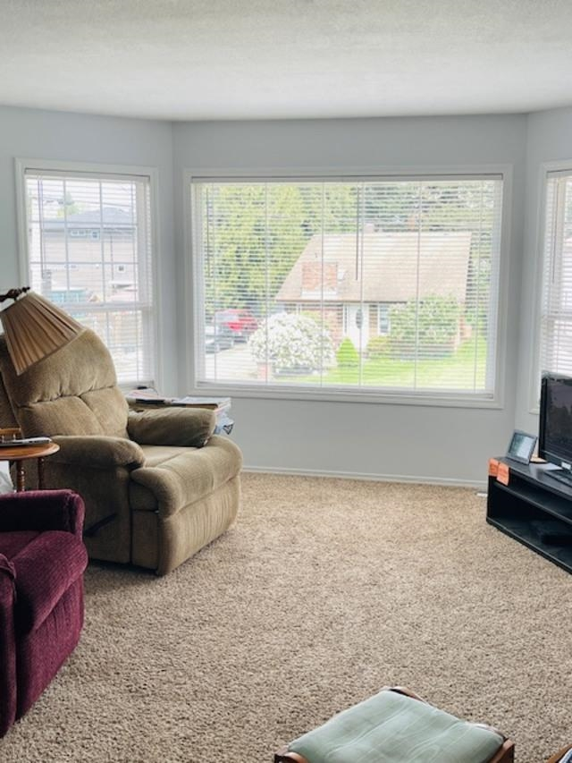 Family Room Photo of 45470 Spruce Drive, Chilliwack, BC