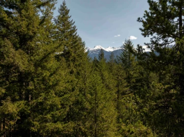 Pantry Photo of 8214 Mountain View Drive, Whistler, BC