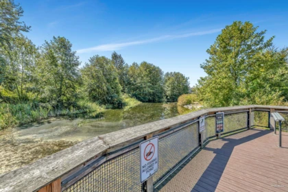Outdoor Deck Photo of 46 10489 Delsom Crescent, Delta, BC