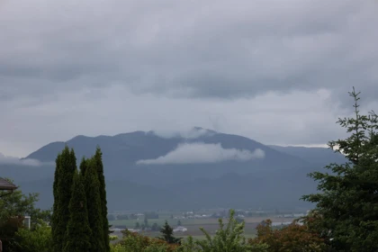 35668 Canterbury Avenue, Abbotsford, BC, Abbotsford — Land for sale