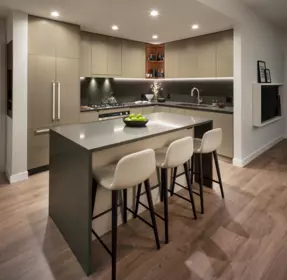Mudroom Photo of 717 North Road, Coquitlam, BC