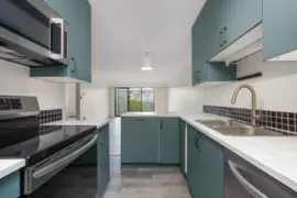 204 127 E 4th Street, North Vancouver, BC