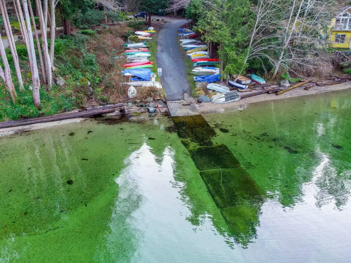 Dining Area Photo of LOT 9 Sandy Hook Road, Sechelt, BC