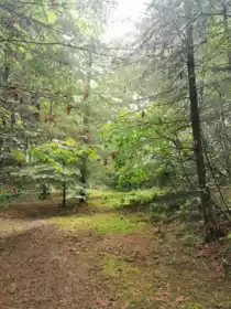 706 Fernhill Road, Mayne Island, BC, Mayne Island — Land for sale