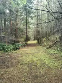 706 Fernhill Road, Mayne Island, BC, Mayne Island —  bed land for sale