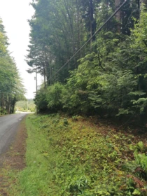 706 Fernhill Road, Mayne Island, BC, Mayne Island — Land for sale
