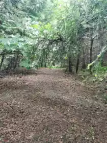 706 Fernhill Road, Mayne Island, BC, Mayne Island — Land for sale