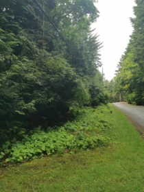 706 Fernhill Road, Mayne Island, BC, Mayne Island — Land for sale