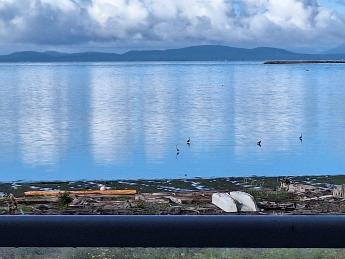 Backyard Photo of 207 1120 Tsatsu Shores Drive, Tsawwassen, BC