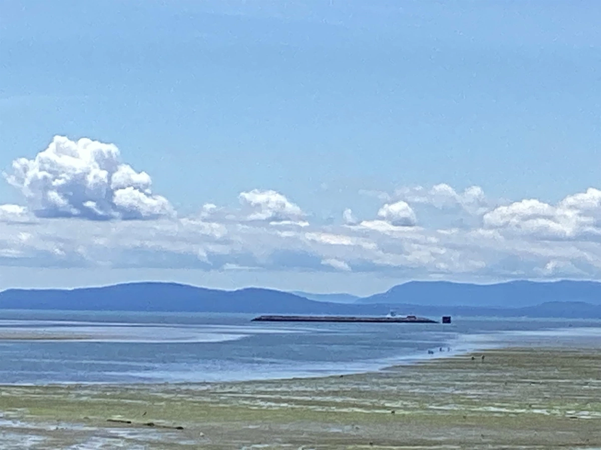 Front Yard Photo of 207 1120 Tsatsu Shores Drive, Tsawwassen, BC