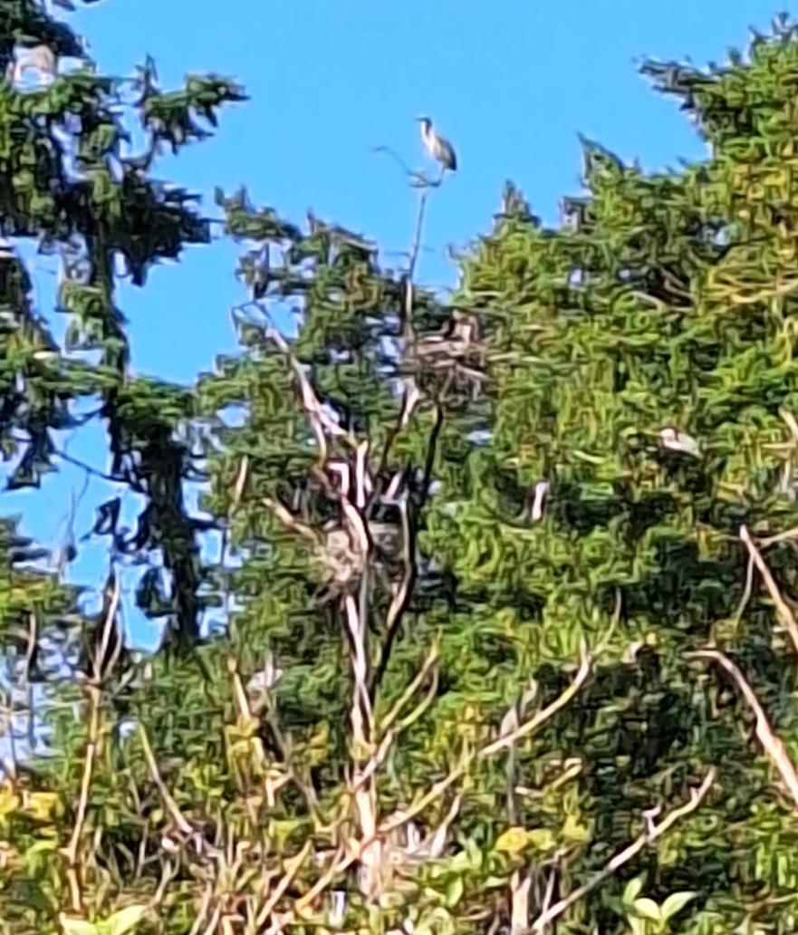 Hot Tub / Spa Photo of 207 1120 Tsatsu Shores Drive, Tsawwassen, BC