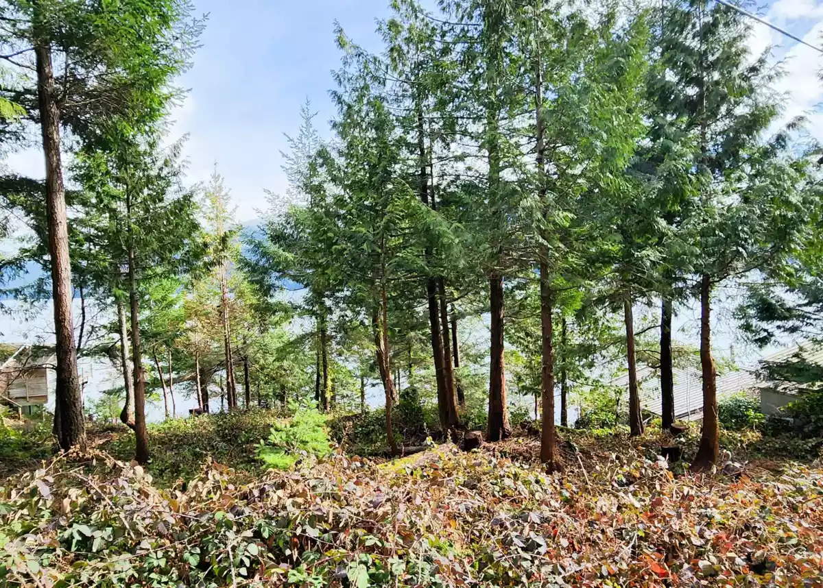 Bedroom 4 Photo of LOT 9 Collingwood Road, Keats Island, BC