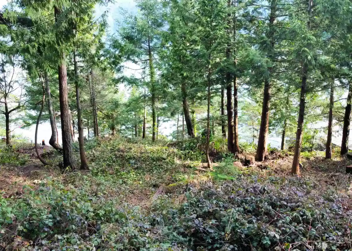 Guest Bathroom Photo of LOT 9 Collingwood Road, Keats Island, BC