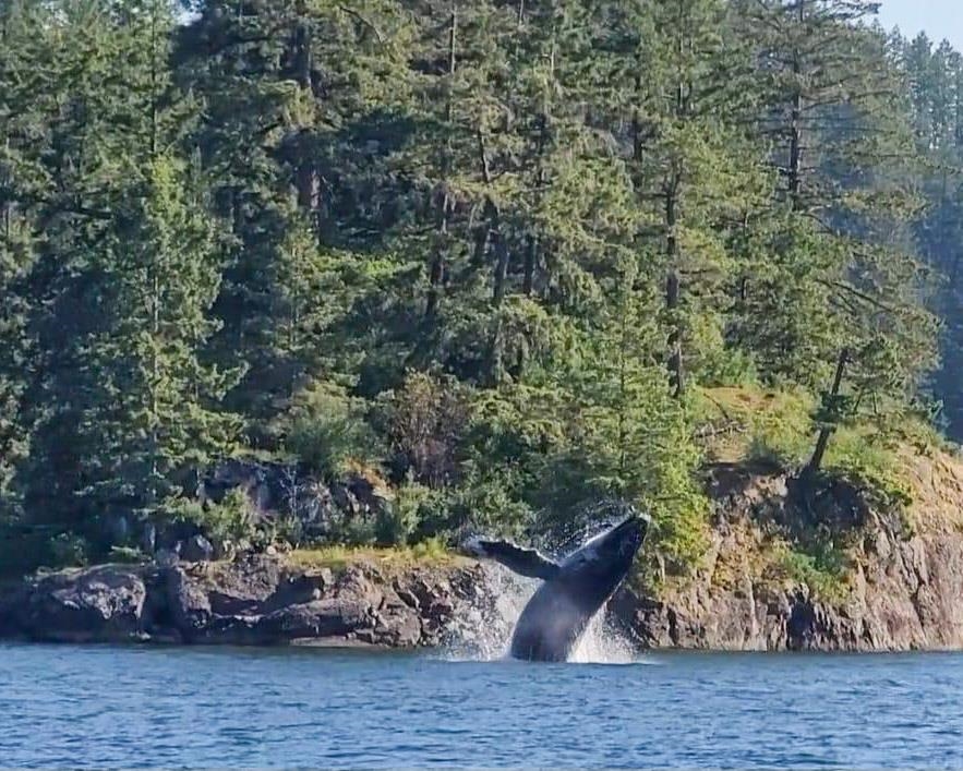 Outdoor Patio Photo of LOT 9 Collingwood Road, Keats Island, BC