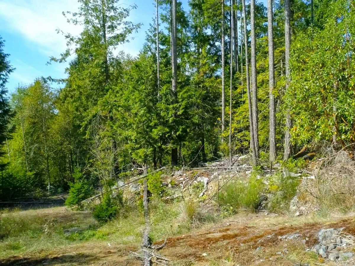 Bedroom 2 Photo of Lot 23 Sakinaw Drive, Garden Bay, BC