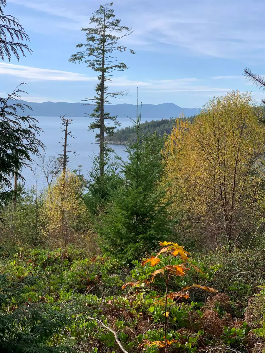 Bedroom 3 Photo of Lot 23 Sakinaw Drive, Garden Bay, BC