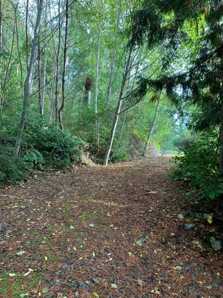 Entry Foyer Photo of Lot 23 Sakinaw Drive, Garden Bay, BC