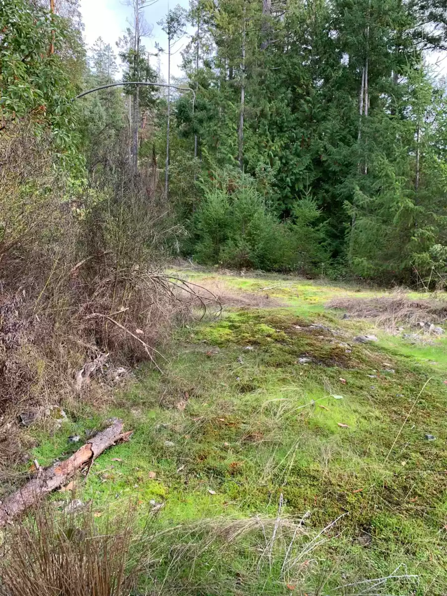 Mudroom Photo of Lot 23 Sakinaw Drive, Garden Bay, BC