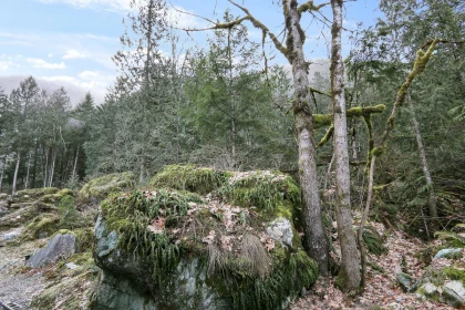 Playground / Recreational Area Near 74 53480 Bridal Falls Road, Chilliwack, BC