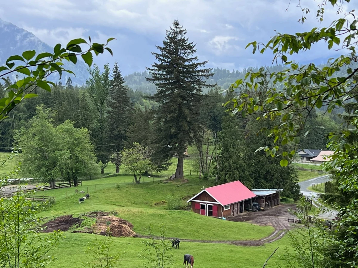Exterior Rear Photo of 5545 Graham Drive, Chilliwack, BC