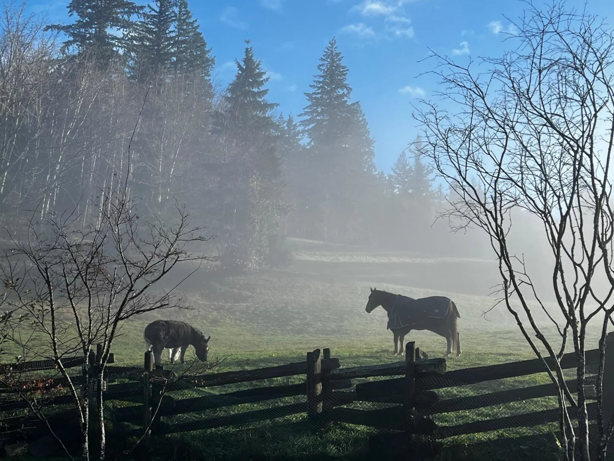 Neighborhood Park Photo Near 5545 Graham Drive, Chilliwack, BC