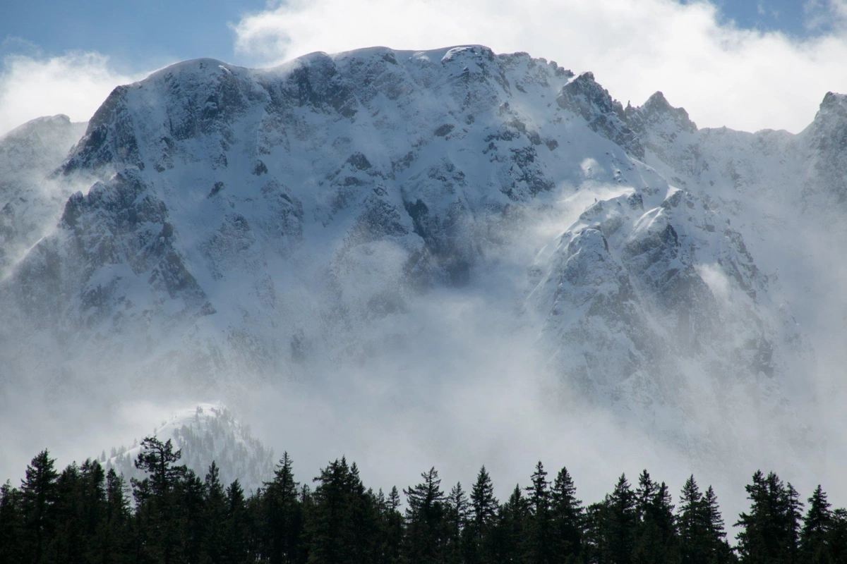 Front Yard Photo of 12 1442 Vine Road, Pemberton, BC