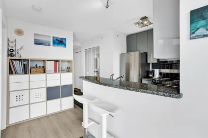 2507 1068 Hornby Street, Vancouver, BC, Vancouver — Apartment/Condo for sale