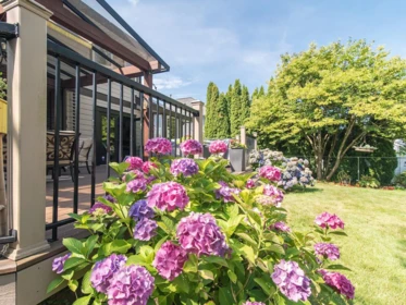 Swimming Pool Photo of 21687 48a Avenue, Langley, BC