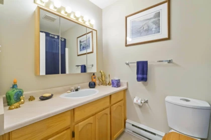 Powder Room Photo of 38 3380 Gladwin Road, Abbotsford, BC