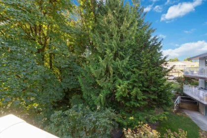 Staircase Photo of 38 3380 Gladwin Road, Abbotsford, BC