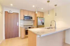 319 38 W 1st Avenue, Vancouver, BC